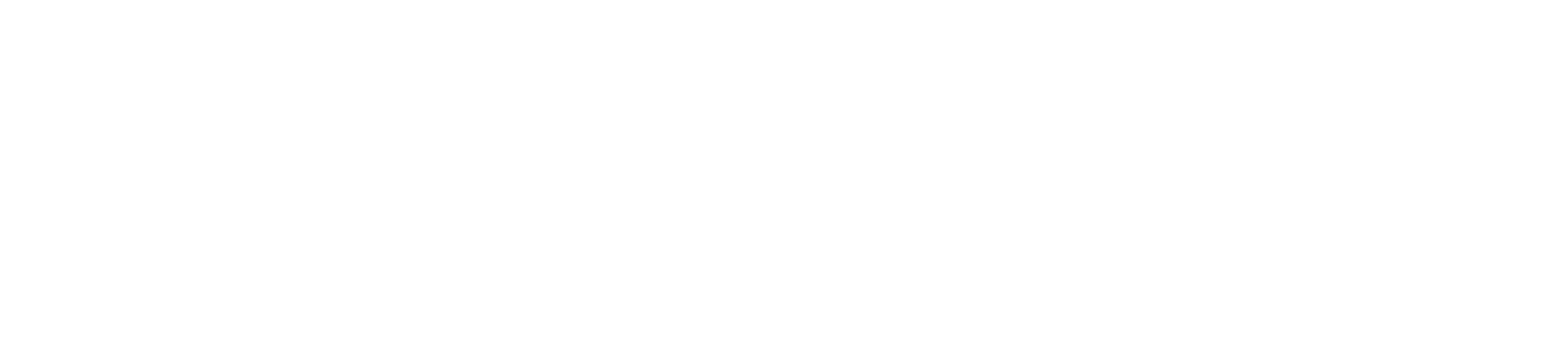 Anahera luxury handbags for women — official logo